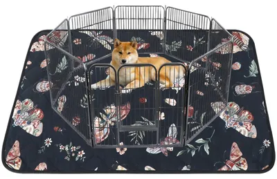 Imagen del producto de Almohadillas reutilizables para el entrenamiento de cachorros - Lavables y absorbentes - Color