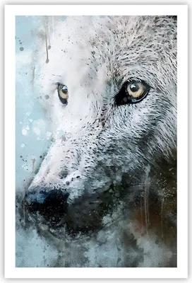 Produktbild von Poster - Poster ohne Rahmen - Weiß Der Wolf Bild - 61x91,5 cm - Wand Bild - Wanddeko - Wandbilder - Kunstposter - Wandposter - Bilder - Kunstdruck - Wanddekoration - Wandbild - P2XPA61x91-4623