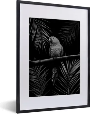 Produktbild von MuchoWow® Gerahmtes Poster Vogel auf schwarzem Hintergrund - schwarz und weiß 30x40 cm - Poster mit Schwarzem Bilderrahmen Wandposter Rahmen Foto Bilder - Wandposter Schlafzimmer