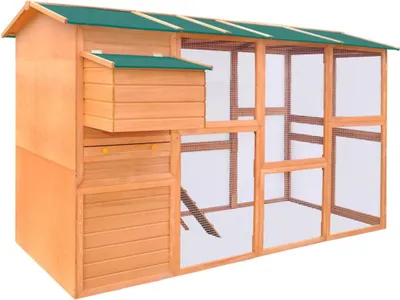 Image de The Living Store Poulailler en bois 295x163x170 cm