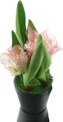 Produktbild von GASPER Tulpen Rosa & Weiß im schwarzen Mini-Topf 19 cm hoch - Kunstpflanzen