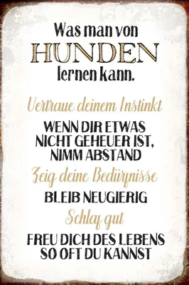 Produktbild von vianmo Holzschild 18x12 cm was man von Hunden lernen kann Tier Haustier