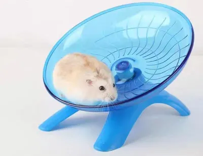 Produktbild von Hamsterrad mit rutschfester Oberfläche und geräuscharmen Design