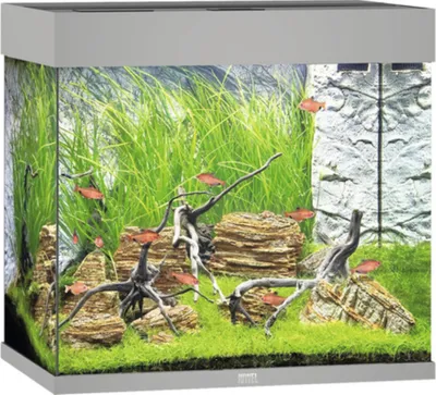 Produktbild von Aquarium Juwel Lido 120 mit LED-Beleuchtung, Pumpe, Filter, Heizer ohne Unterschrank grau