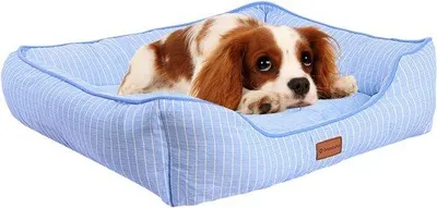 Immagine prodotto di Cuccia per cani di grossa taglia