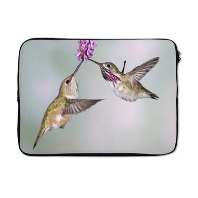 Produktbild von MuchoWow® Laptop Hülle 14 ZollKolibri - Vögel - Pflanze Laptoptasche - Laptoptasche - Stoßsicher - Schutzhaube
