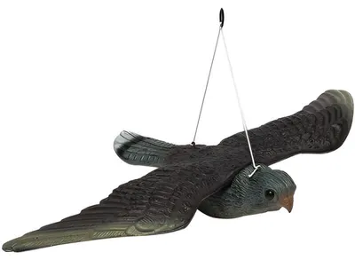 Image de Répulsif à pigeons et oiseaux faucon 50 cm