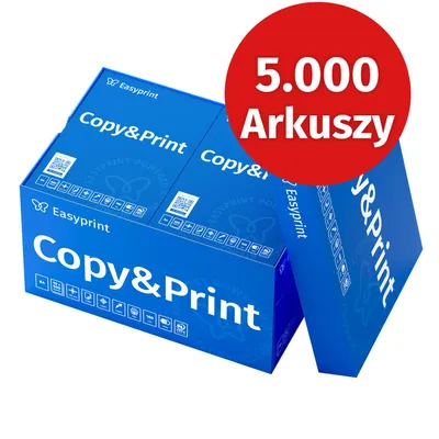 Zdjęcie produktu dla Easyprint Papier do drukarek Papier do kopiowania 5000 arkuszy 10 x 500 A4 Biały papier Premium z certyfikatem CIE 160 PEFC