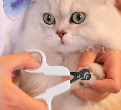 Produktbild von 2 Edelstahl-Nagelknipser für Katzen und Hunde - mittelgroße und kleine Haustiere - inklusive Nagelfeile
