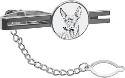Productafbeelding van Art-Dog Dasspeld – Cirneco dell'Etna