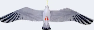 Obrázek produktu pro Dračí racek 150x55cm