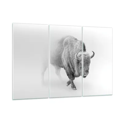 Produktbild von Bilder auf glas - 3 Teile - Wisent Schwarzweiß Licht - 105x70cm - Glasbilder - Wandbilder - Bilder - zum Aufhängen bereit - Wanddekoration aus Glas - Glas Bilder - Wandbild auf Glas - GCE105x70-4418