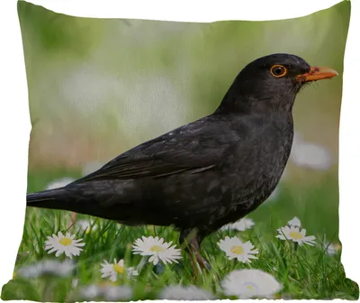 Produktbild von MuchoWow® Outdoor Kissen - Vogel - Amsel - Blumen - 60x60 cm - Wetterfest - Lounge Kissen - Dekoration - Schlaf Kissen