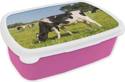 Produktbild von KitchenYeah® Lunchbox Brotzeit Brotdose 17x11 cm Kuh - Gras - Tiere - Wald Kinder Brotzeitdose - Lunchpaket - Brotkasten  - Sandwich Box