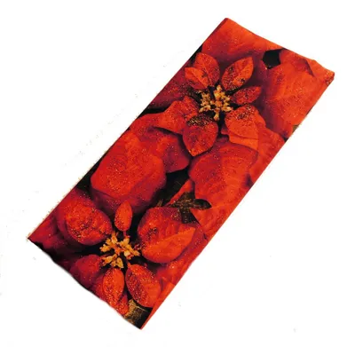 Produktbild von Dekostoff Weihnachtssterne ca 1,50 m x 2,50 m Fotoprint