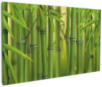 Produktbild von Wallario Premium Leinwandbild Grüner Bambuswald in Größe 60 x 90 cm