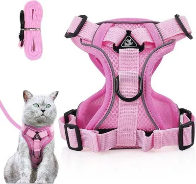 Image de Harnais chat réglable anti-fugue avec laisse Harnais souple pour chats chatons chiens chiots (rose clair, grand)