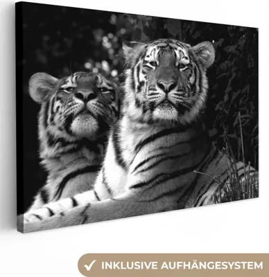 Produktbild von MuchoWow® - Leinwandbilder - Tiger - Tiere - Schwarz - Weiß, Wandbild, Wanddeko Bilder Wohnzimmer, 30x20cm