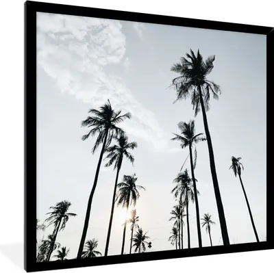 Produktbild von MuchoWow® Gerahmtes Poster Palmen - Sommer - Tropisch 40x40 cm - Poster mit Schwarzem Bilderrahmen Wandposter Rahmen Foto Bilder - Mit Rahmen - Wanddekoration Schlafzimmer