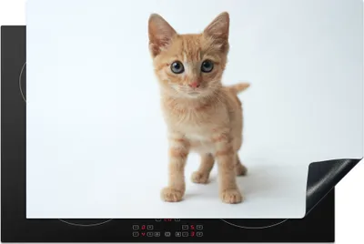 Produktbild von KitchenYeah© Herdabdeckplatte Katze - Rot - Kätzchen - Mädchen - Kinder - Kinder - Kind , 81x52cm, Küche Deko, Glaskeramikkochfeld Herdabdeckung, Abdeckplatte fùr Kochfeld