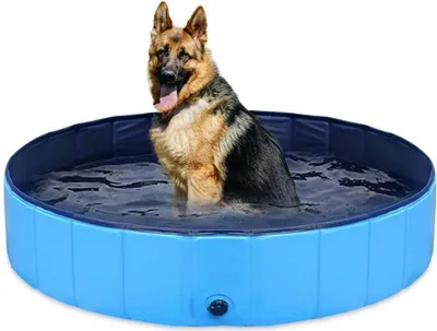 Image de INF Piscine Pliable pour Animaux Antidérapante en PVC, Plusieurs Tailles XL