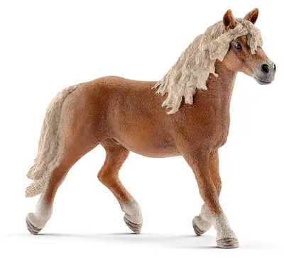 Obrázek produktu pro schleich Farm Life 13813, 3 rok/roky, Vícebarevný, Plast