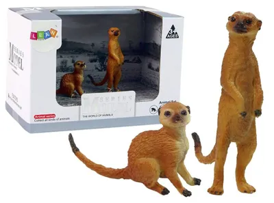 Immagine prodotto di Set di 2 figure di animali del mondo Surykatka
