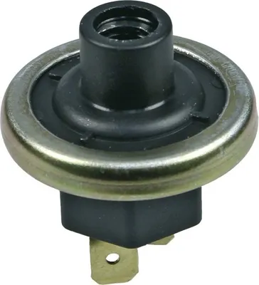 Produktbild von Druckschalter Schalter STE 141576 Heißwassergerät Stiebel Eltron 141576