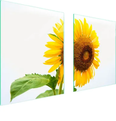 Image de Plaque De Protection Des Vitres Pour Herd 85X52 Fleurs