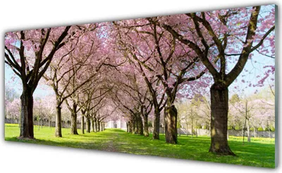 Produktbild von Küchenrückwand aus Glas 125x50cm Spritzschutz Fußpfad Bäume Natur