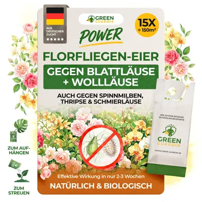 Produktbild von Power Florfliegenlarven gegen Blattläuse und Wollläuse –15 Tüte für 150m²- Mittel zur Wolläuse Bekämpfung für Zi.Pflanzen & Cannabis, GREEN GUARDIA