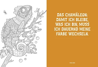 Image de Colorful Mandala - Mandala - Dschungeltiere