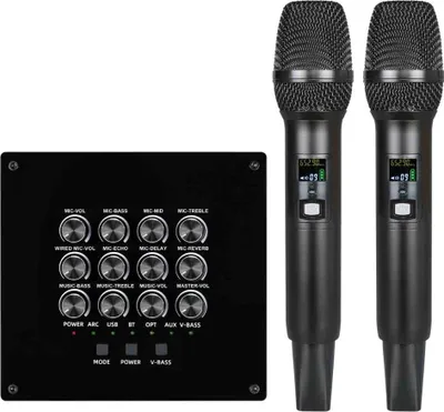 INF Equalizer Mikrofon Set Drahtloses Mikrofonsystem mit Audio Mixer