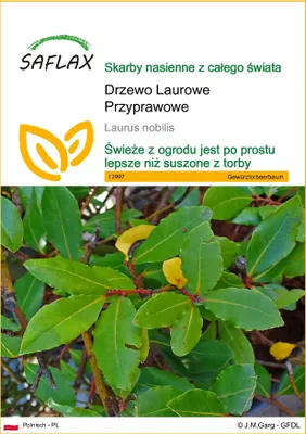 Zdjęcie produktu dla SAFLAX - Drzewo Laurowe Przyprawowe - 6 Nasiona - Laurus nobilis