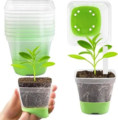 Produktbild von Famanu Pflanzenpot 8 cm - Transparent mit Silikonboden, wiederverwendbar, ideal für Setzlinge