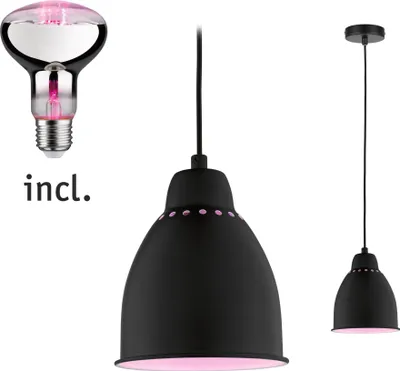 Image de Paulmann Lampe à suspendre Bundle Neordic Hilla