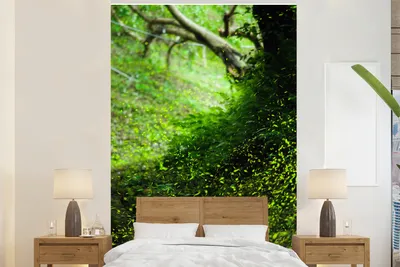 Produktbild von MuchoWow® Fototapete für Wohnzimmer oder Schlafzimmer Wandtapete Vinyl Motivtapete Glühwürmchen in einer grünen Landschaft während der Tageslichtstunden - 170x260 cm - Wohnzimmertapete