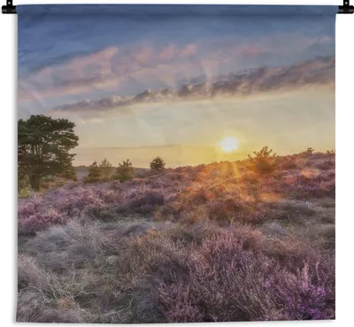 Produktbild von MuchoWow® Wandteppich Wandbehang Heide bei Sonnenuntergang 90x90 cm Tapisserie Dekoration Wandtuch - Wandaufhänger