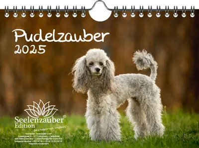 Produktbild von Pudelzauber DIN A5 Kalender für 2025 Welpen und Hunde - Seelenzauber