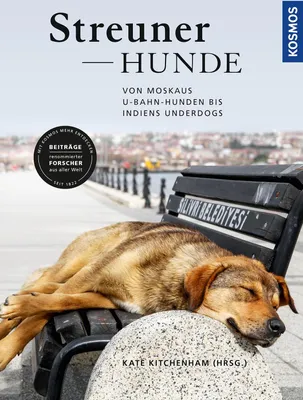 Produktbild von Streunerhunde