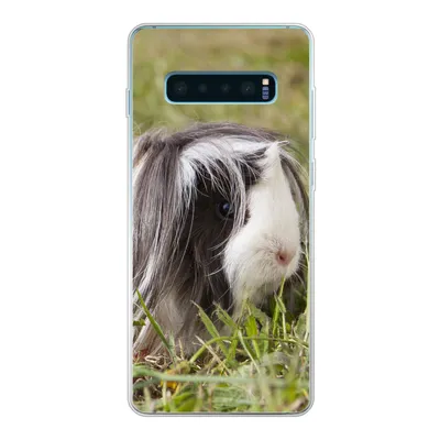 Produktbild von MuchoWow® Handyhülle Schutzhülle Hülle für Samsung Galaxy S10 Plus Langhaar-Meerschweinchen Silikon Softcase Handy Hülle - Schutzhülle