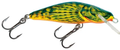 Image de Salmo Bullhead Sinking 6cm Hot Bullhead Wobbler
