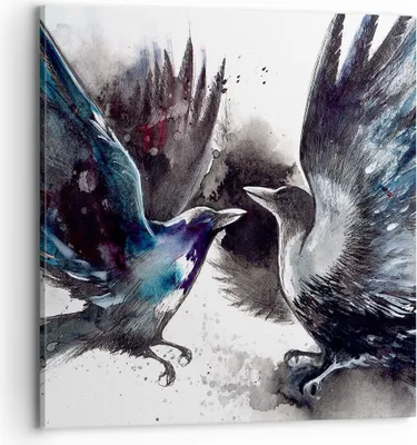 Produktbild von Bild auf Leinwand - Leinwandbild - Vogel Natur Feder - 70x70cm - Wand Bild - Wanddeko - Wandbilder - Leinwanddruck - Bilder - Kunstdruck - Wanddekoration - Leinwand bilder - Wandkunst - AC70x70-3761