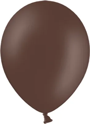 Obrázek produktu pro 100 hnědých balónků