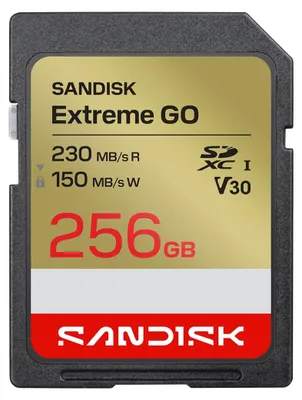 Image de SanDisk Extreme GO, 256 Go, SDXC, UHS-I, 230 Mo/s, 150 Mo/s, Classe 3 (U3)