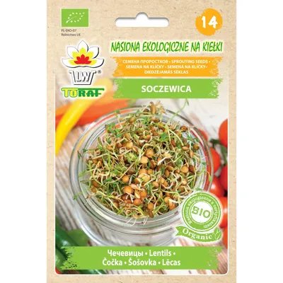 Zdjęcie produktu dla Nasiona na kiełki- soczewica 30g Toraf