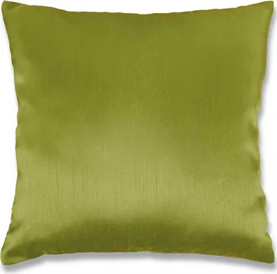 Produktbild von Dekokissen Alessia ( Kissenhülle inkl. Polyesterfüllkissen ), Maße: 60x60cm, Farbe: Grün