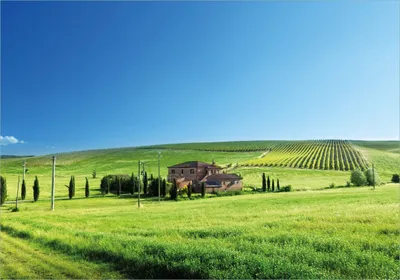 Produktbild von Wallario Poster - Farm in der Toskana, Kunstdruck Größe: 70 x 100 cm