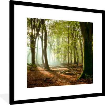 Produktbild von MuchoWow® Gerahmtes Poster Wald - Sonne - Jahreszeiten - Landschaft 40x40 cm - Poster mit Schwarzem Bilderrahmen Wandposter Rahmen Foto Bilder - Poster - Plakat im Rahmen