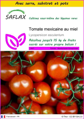 Image de SAFLAX Ensemble de culture - Tomate mexicaine au miel - 10 graines - Lycopersicon